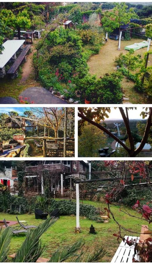 Mare Maravella Costa Brava Nature 토르데라 외부 사진