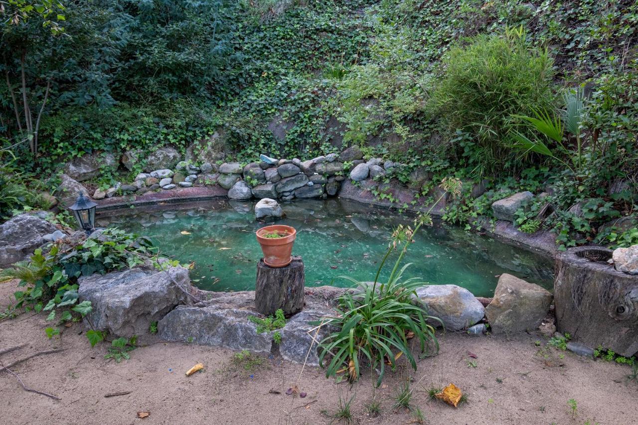 Mare Maravella Costa Brava Nature 토르데라 외부 사진
