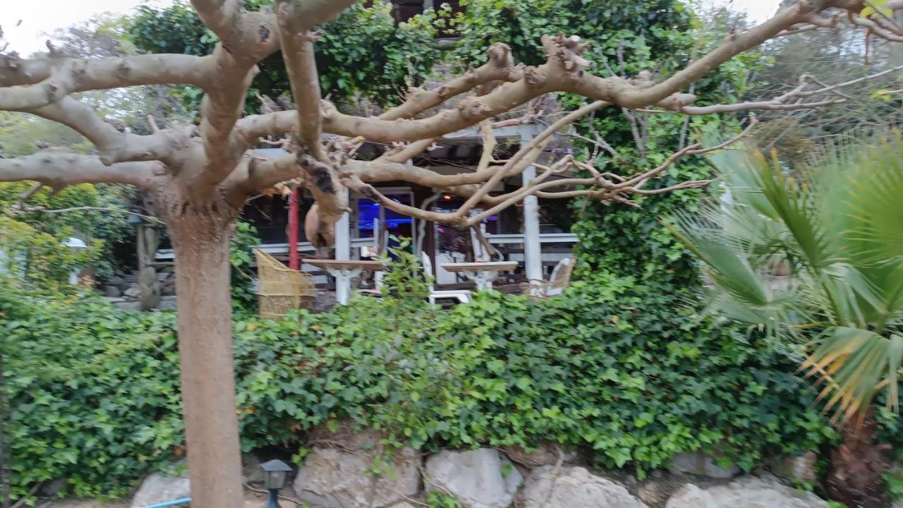 Mare Maravella Costa Brava Nature 토르데라 외부 사진